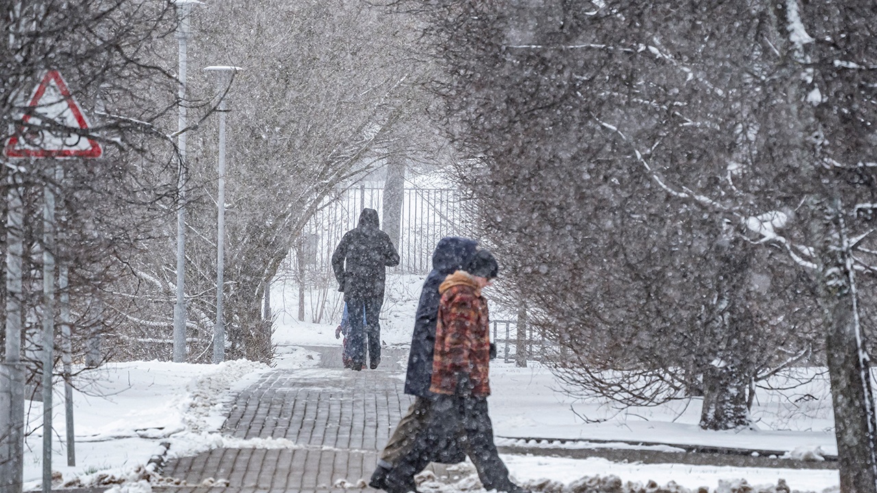 В выходные в Москве выпадет первый снег