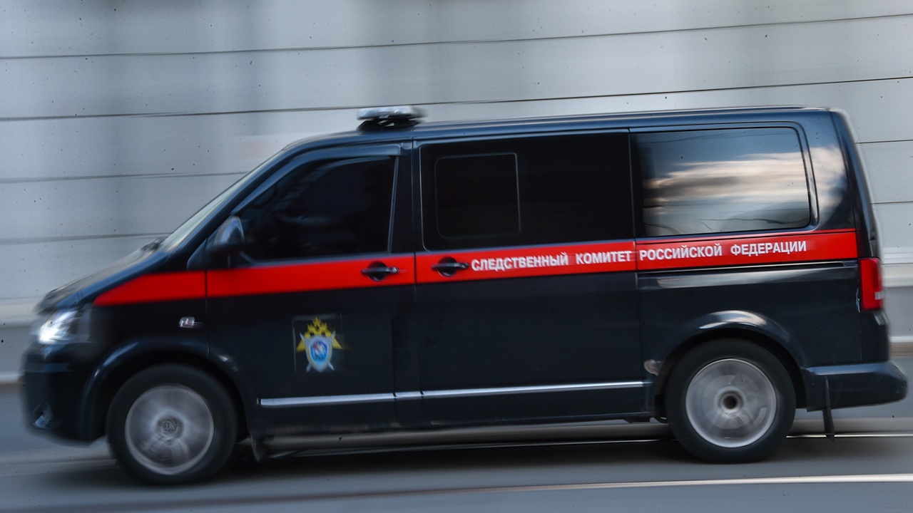 В Балашихе нашли тело ребенка, чью голову обнаружили в Гольяновском пруду