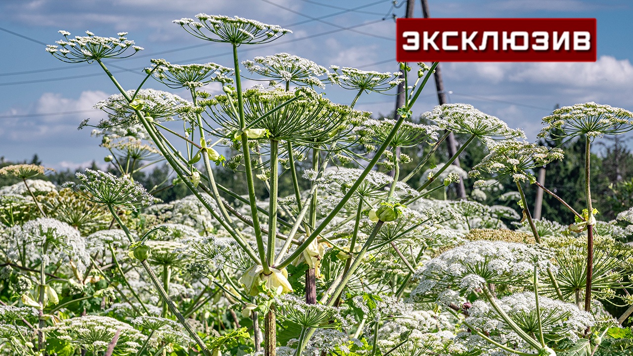 Юрист: дроны помогут бороться с неплательщиками налогов на землю