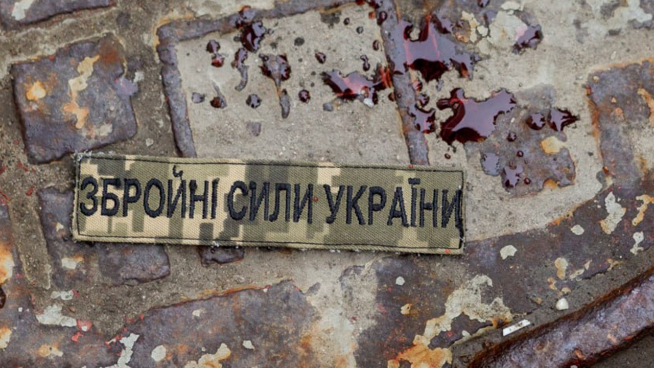 Минобороны: ВС РФ продолжают уничтожение противника на левом берегу Оскола