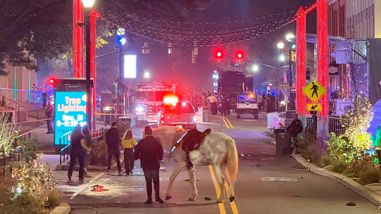 В США четыре человека ранены при стрельбе во время зажжения рождественской елки