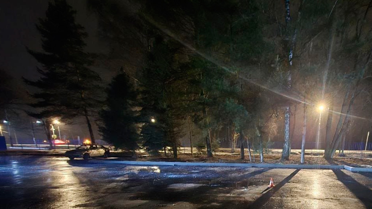 Мать случайно задавила годовалую дочь в Подмосковье