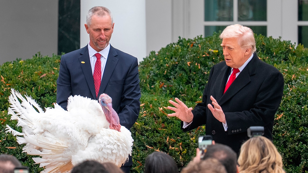 Индейка убежала от Трампа во время церемонии «помилования» в Белом доме