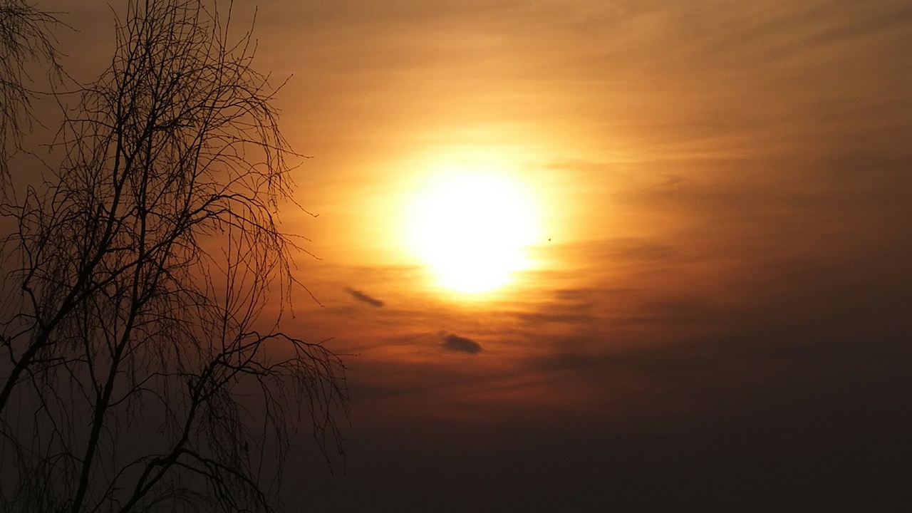 Ученые предупредили о росте мощности солнечных вспышек