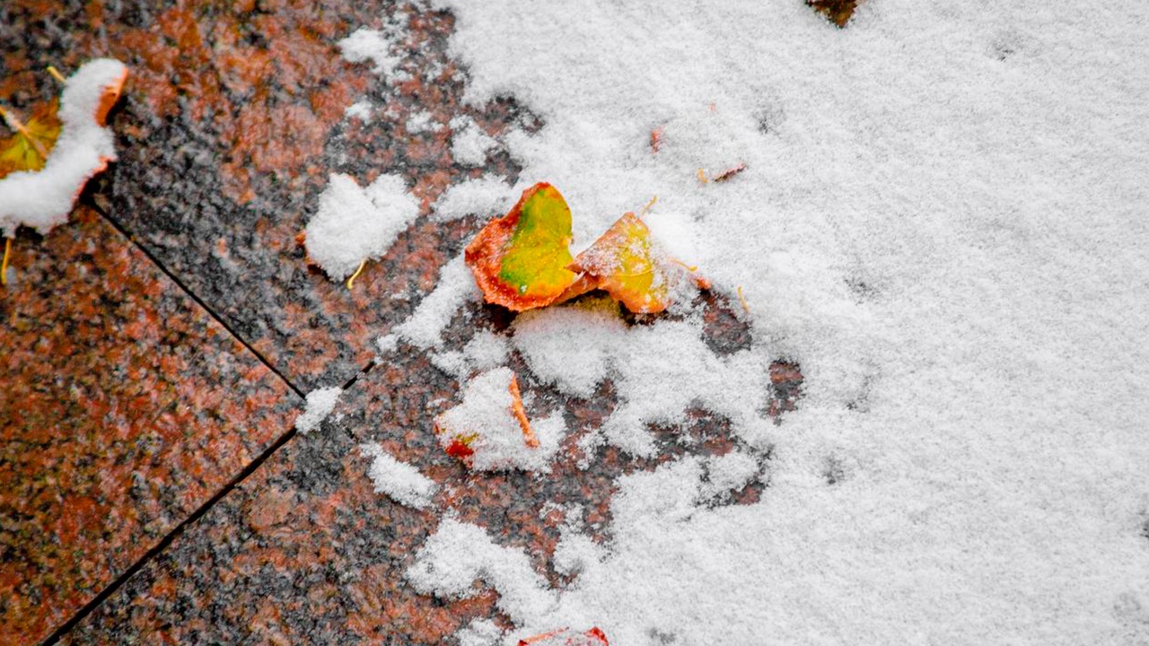 Дороги во Владивостоке сковало льдом из-за мощного циклона
