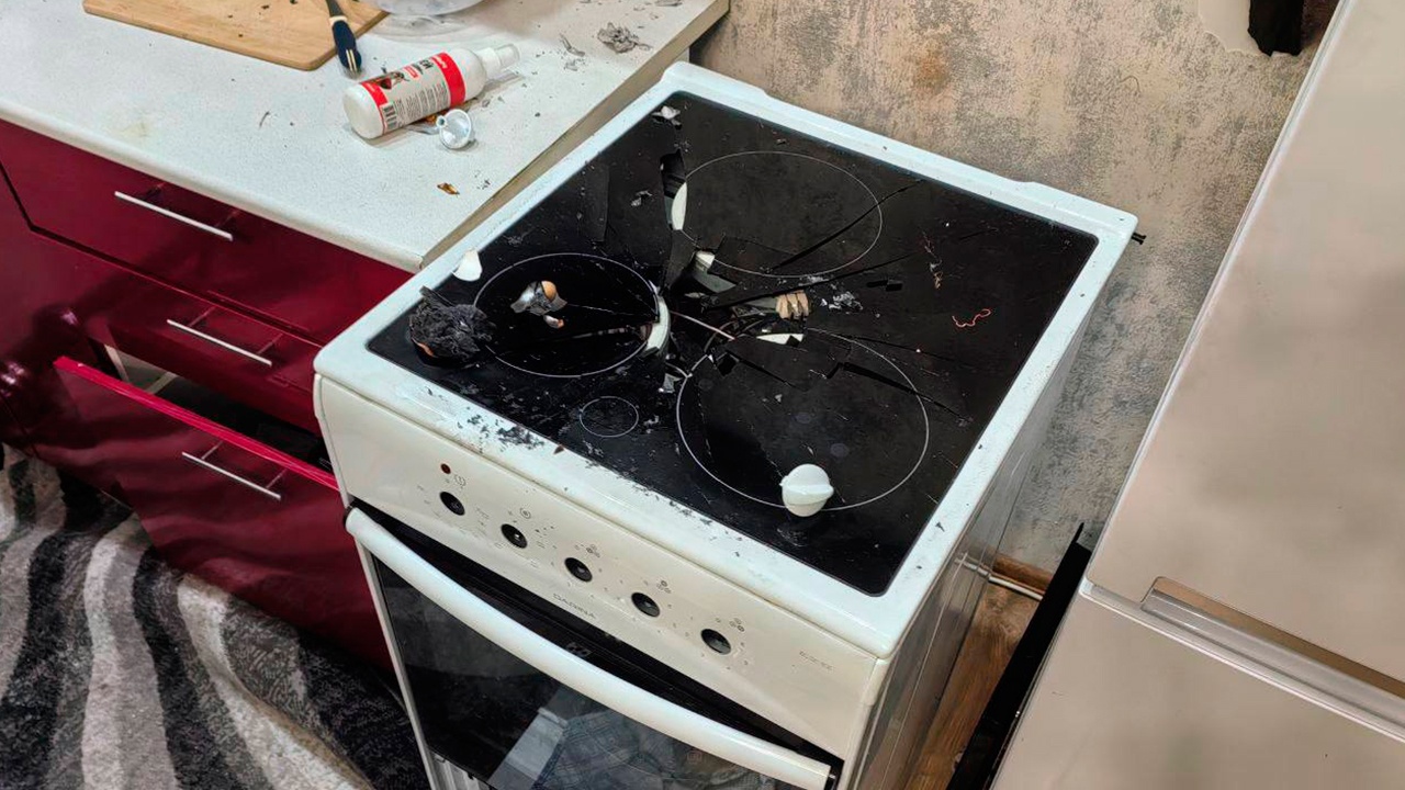 В Новосибирске собака включила плиту, что привело к взрыву