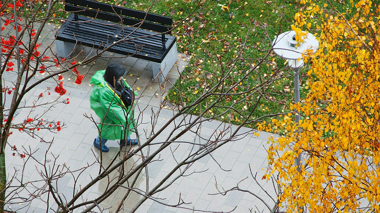 Сибирь и Дальний Восток накроет аномальное тепло