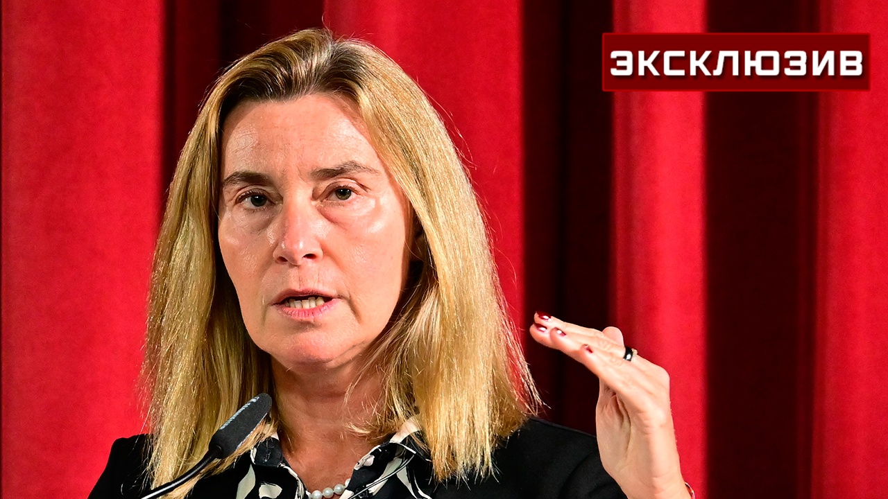 Экс-депутат Бундестага назвал колледж Могерини «теплым местечком» для коррупции