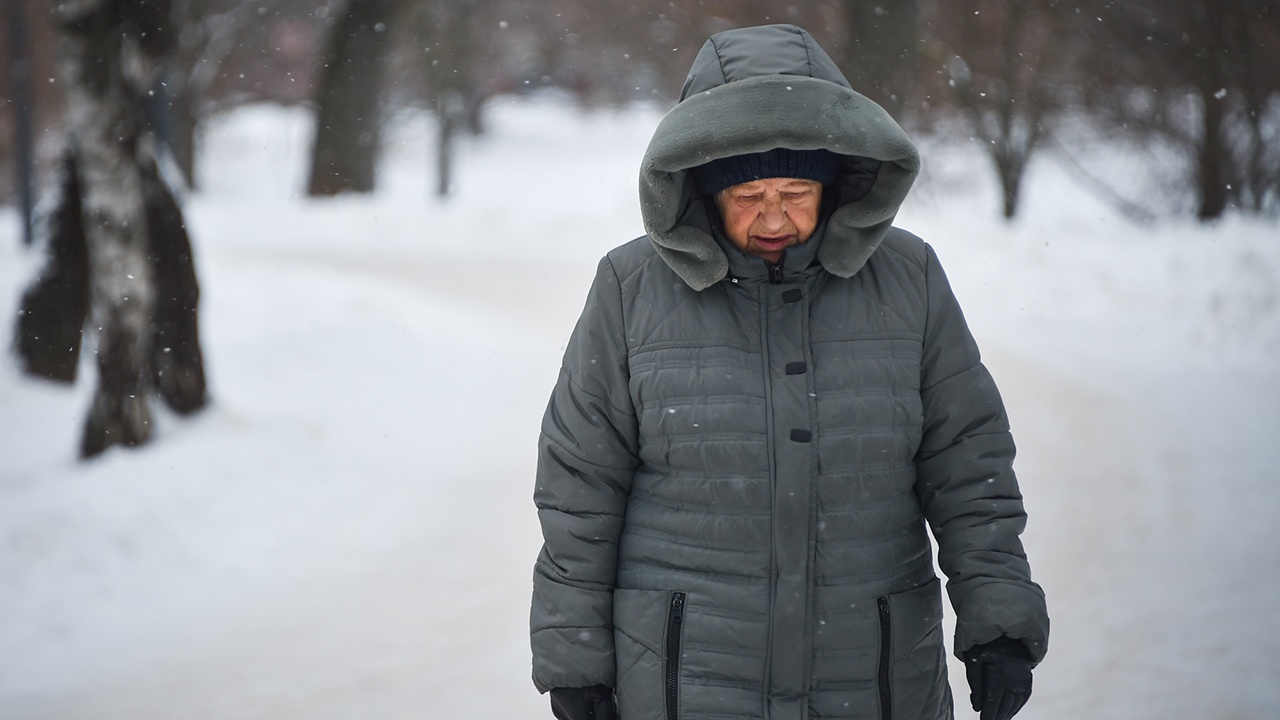 В Думе выступили с идеей платить пенсионерам «Новогодний капитал»