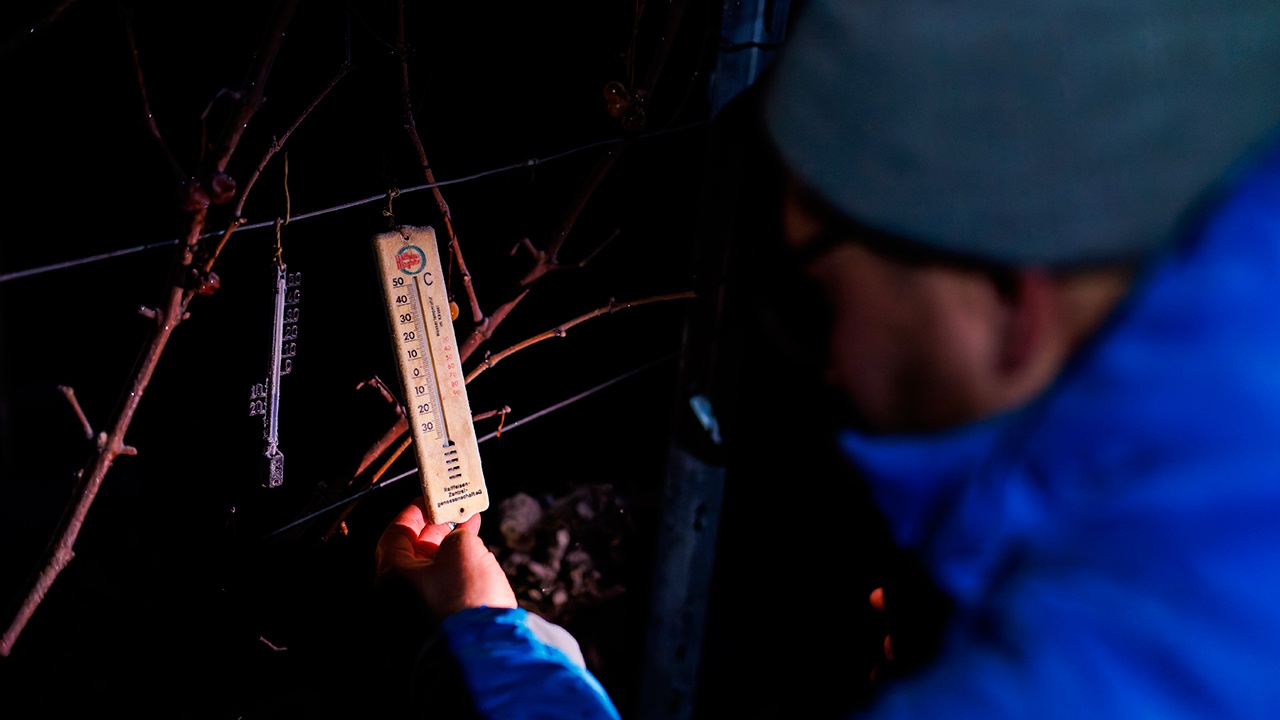 В Гидрометцентре рассказали о потеплении в Москве к 2050 году