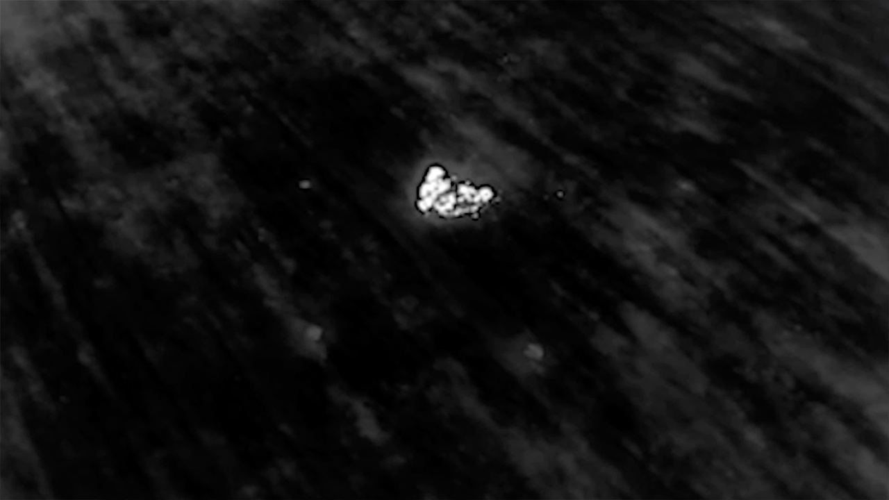 Операторы БПЛА группировки «Центр» сорвали ротацию ВСУ под Димитровом