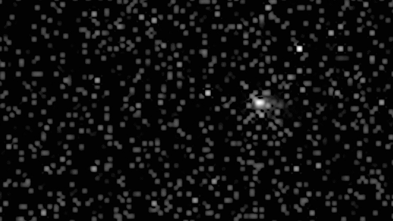 Астроном Леб: у космического объекта 3I/ATLAS может быть два хвоста