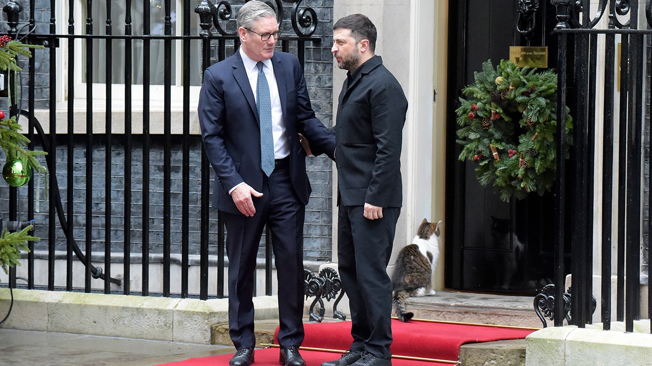 Кот Ларри отказался заходить в одну дверь с Зеленским на Даунинг-стрит