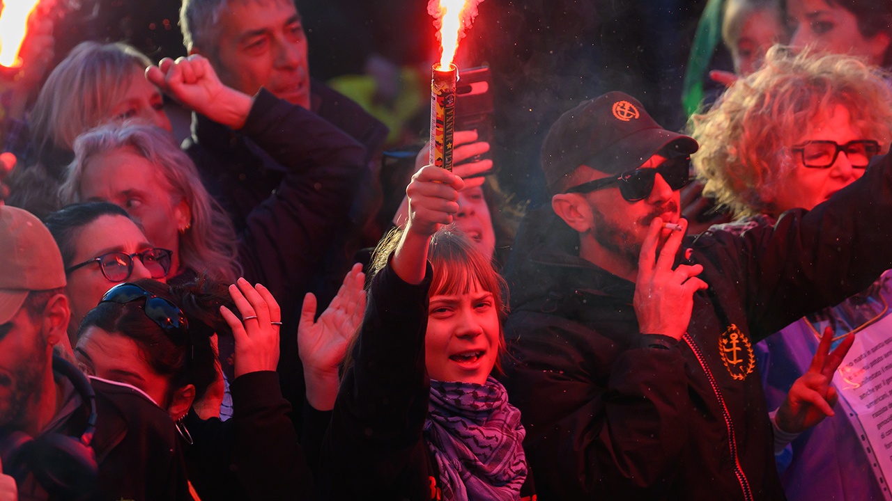 Грета Тунберг после уличной акции стала фигуранткой уголовного дела