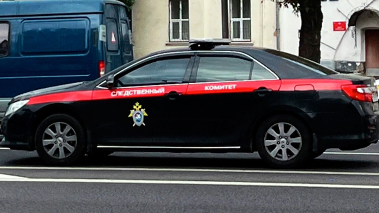 Уголовное дело об убийстве возбудили после нападения на школу в Одинцове