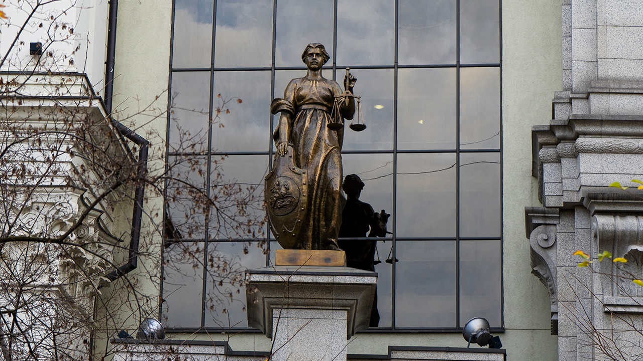 Юрист объяснил, почему решение по делу Долиной не поможет остальным пострадавшим