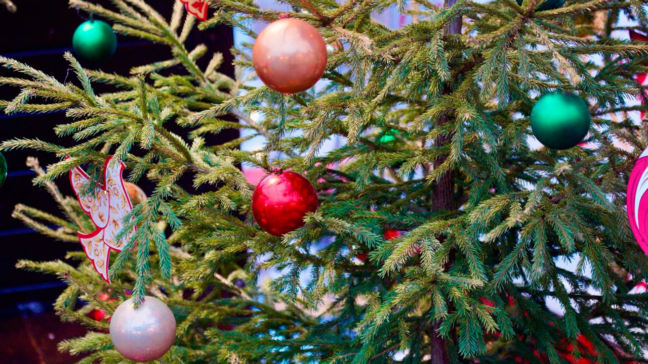 Юрист рассказал, как украсить подъезд к Новому году и не нарушить закон