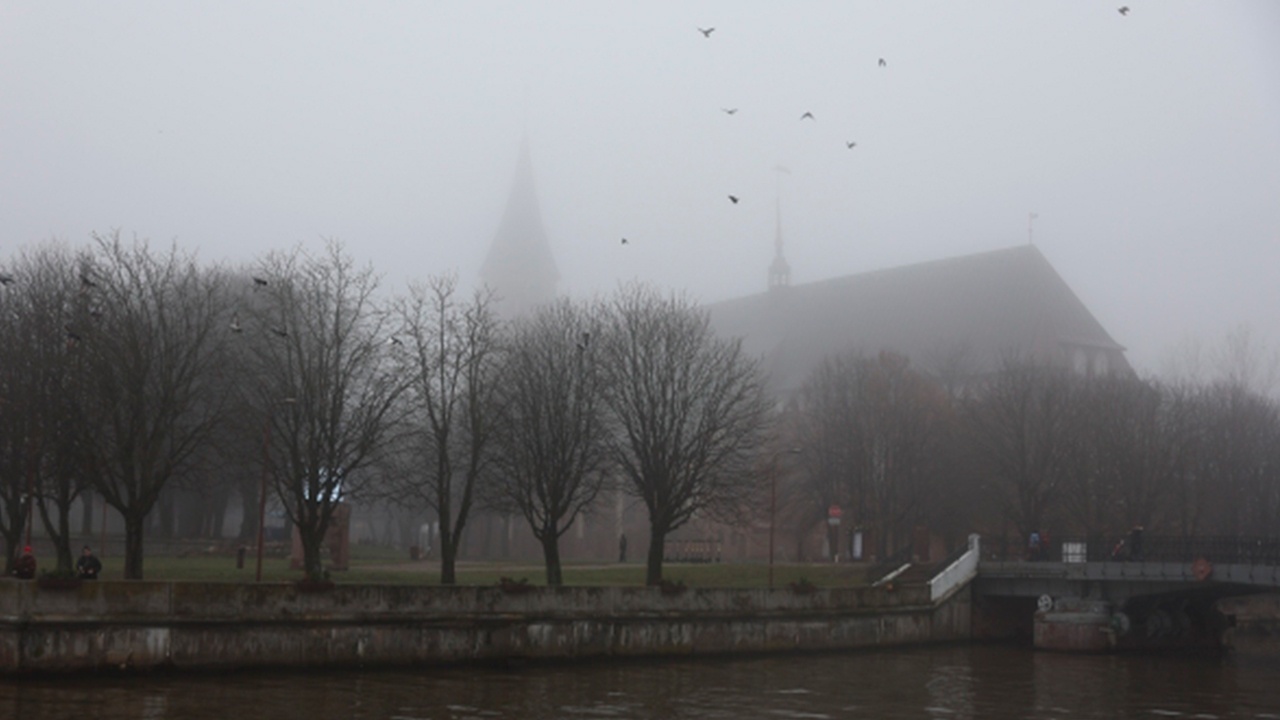 Путин рассказал «Звезде» об ответе РФ в случае попытки блокады Калининградской области