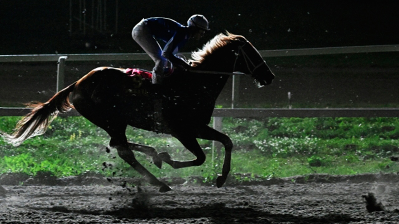 Международная федерация конного спорта вернула флаг и гимн юниорам из РФ