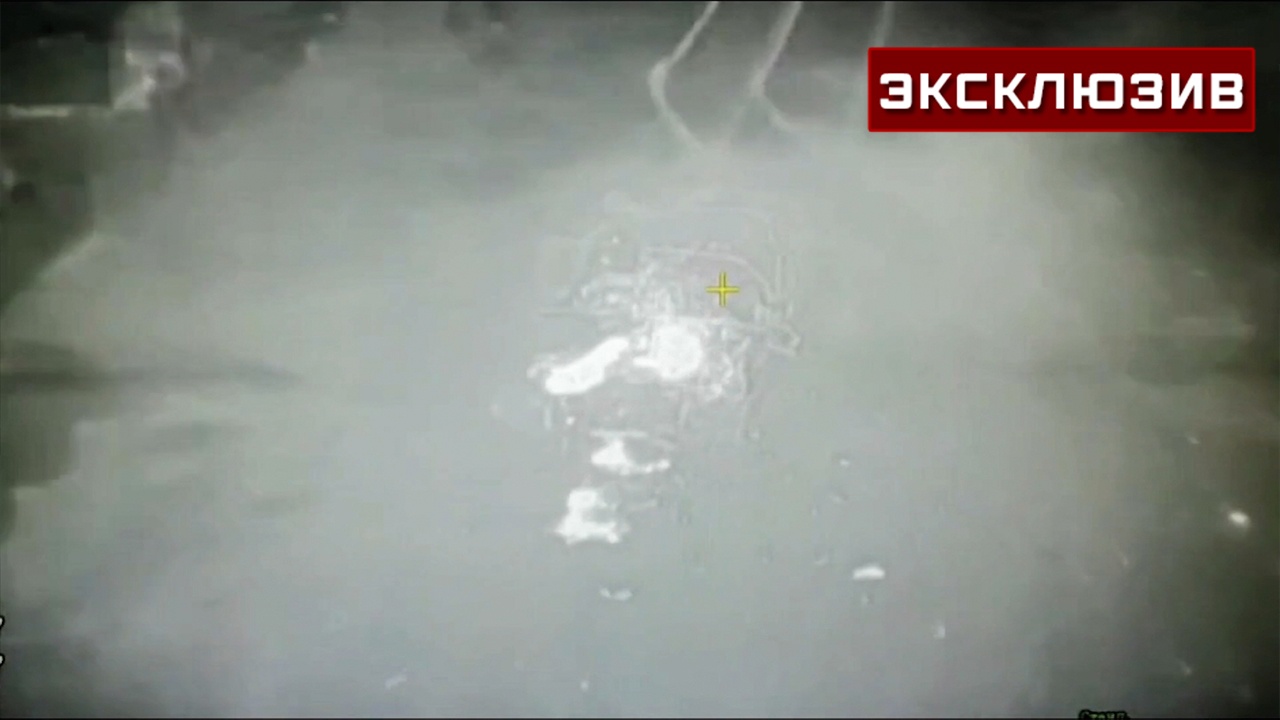 Российские войска поразили бронетехнику ВСУ в районе Гуляйполя