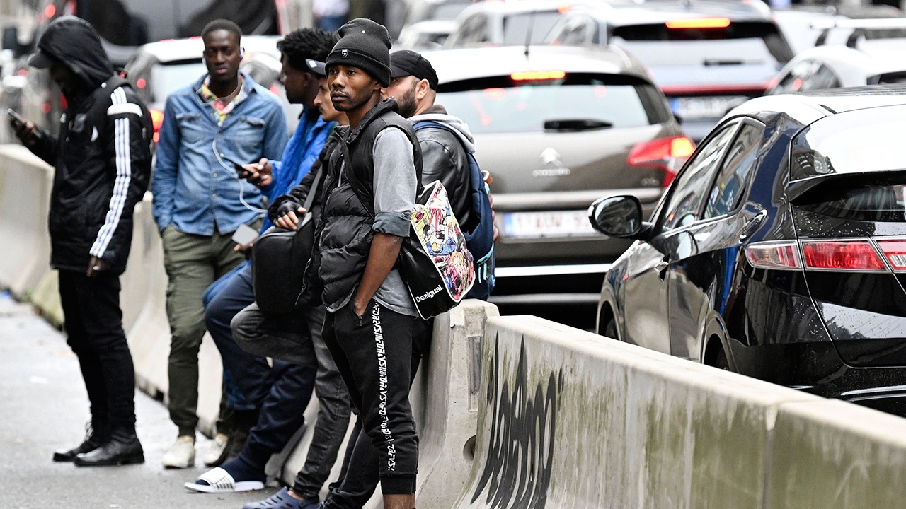 Маск заявил, что «великое замещение» населения в Европе уже произошло