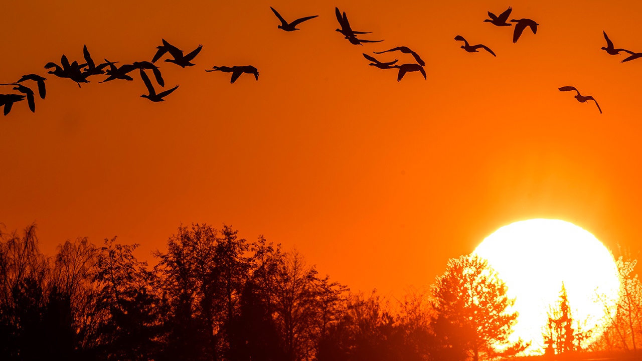 Магнитная буря вызвала сильнейшие полярные сияния в России