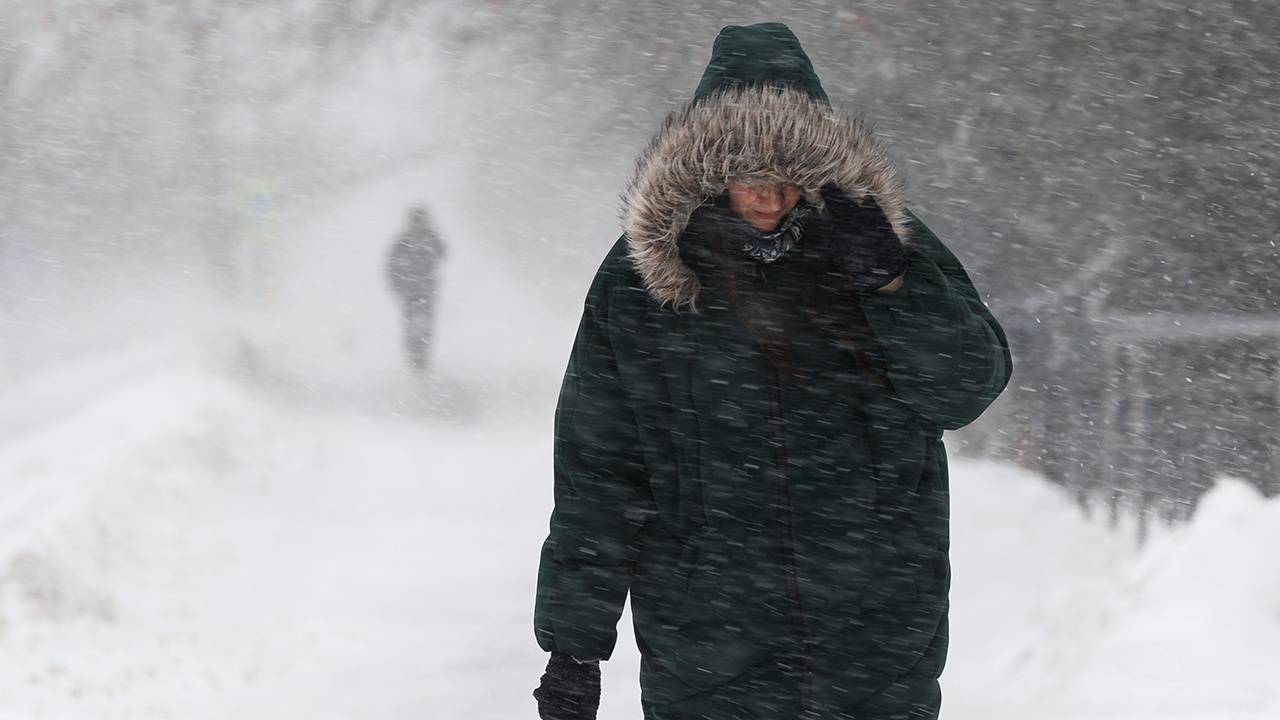В ФНПР рассказали о возможности неявки на работу при непогоде