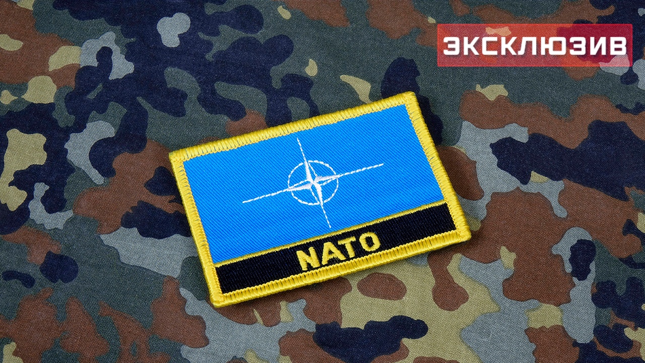 Эксперт МГИМО оценила идею о выходе Франции из НАТО