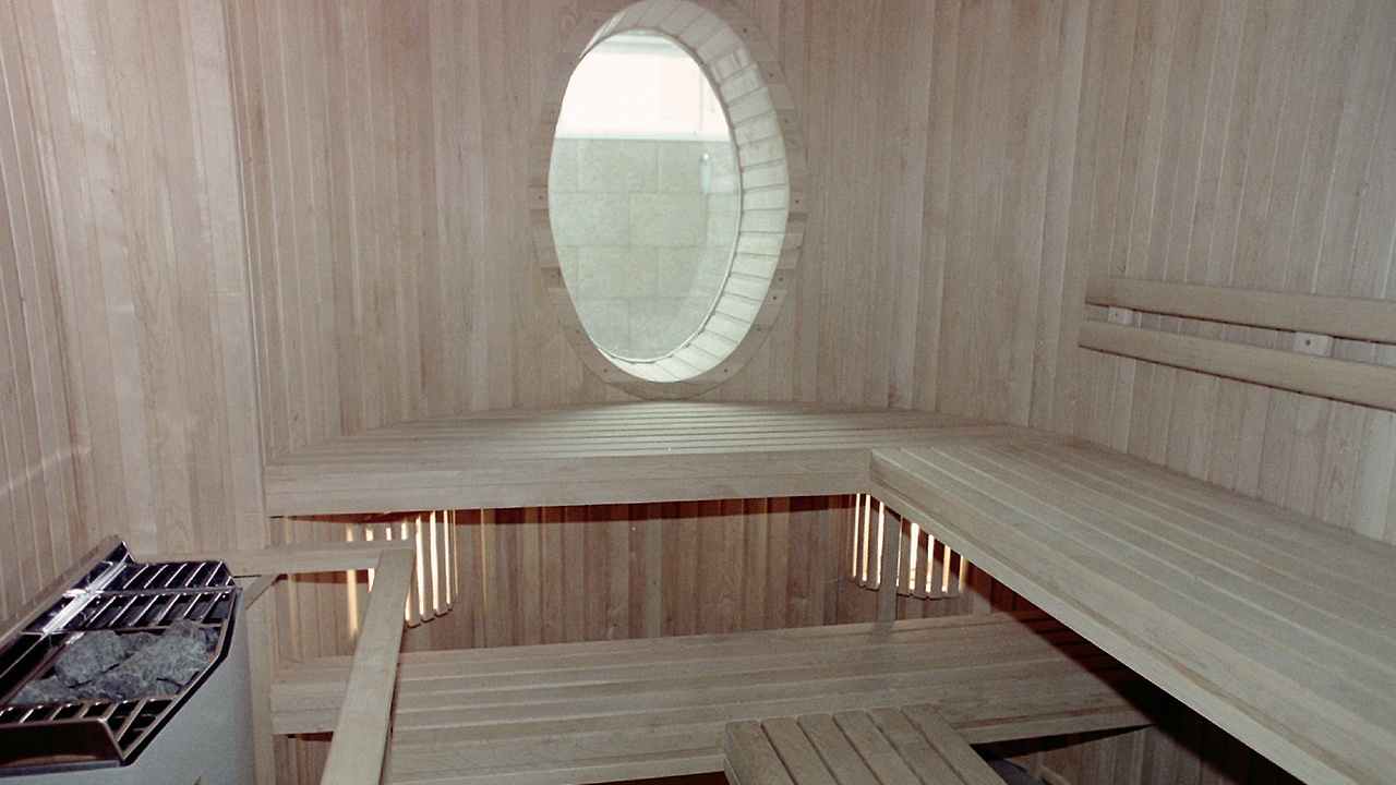 Стубб: гренландский вопрос может решить поход с Трампом в сауну