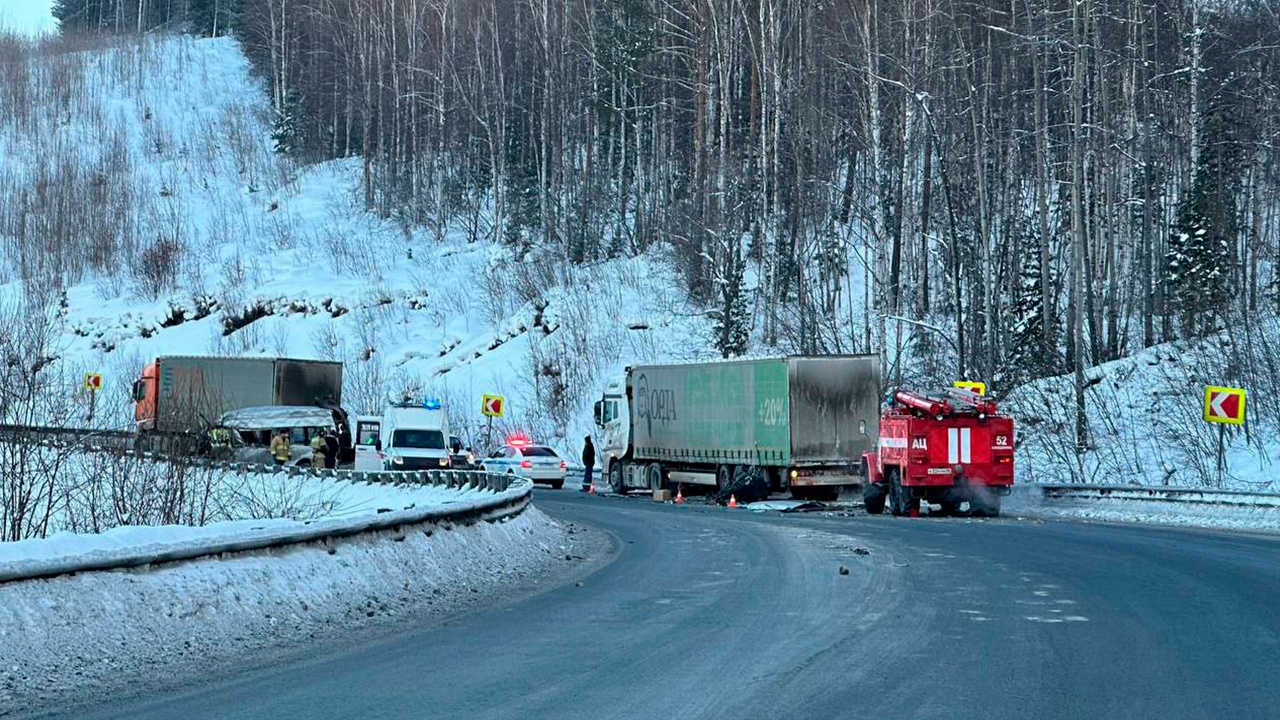 В Иркутской области микроавтобус столкнулся с грузовиками, ранены 12 человек