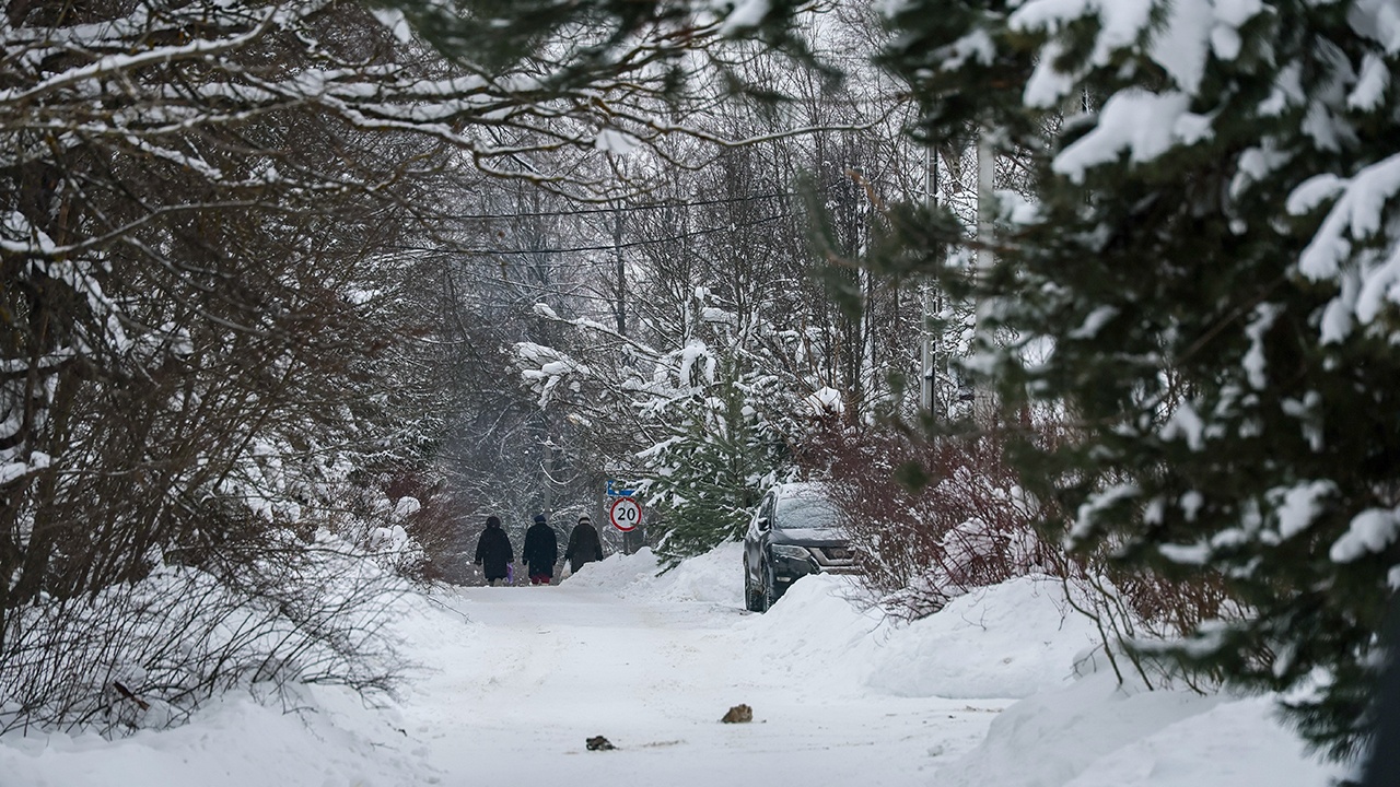 Синоптик рассказал, чего ждать от снегопада в Москве