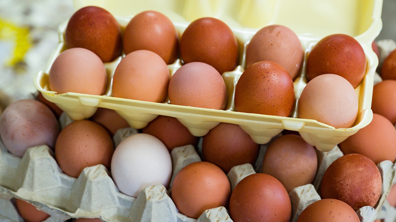 BZ: низкосортные украинские яйца заполонили европейские рынки