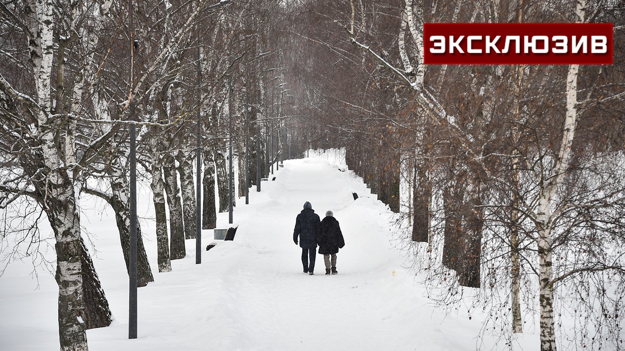 «Морозы никуда не денутся»: москвичей предупредили о холодах на всю неделю