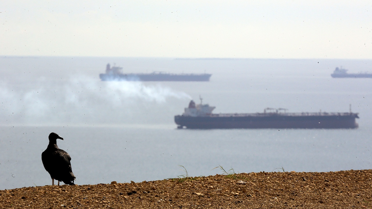 Трамп: США везут в Техас 50 миллионов баррелей венесуэльской нефти