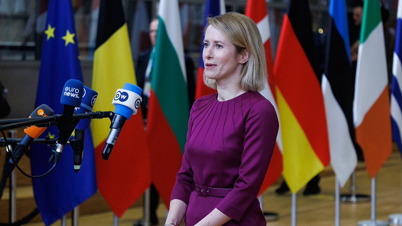 Володин посоветовал Каллас обратиться к врачу после ее слов о России