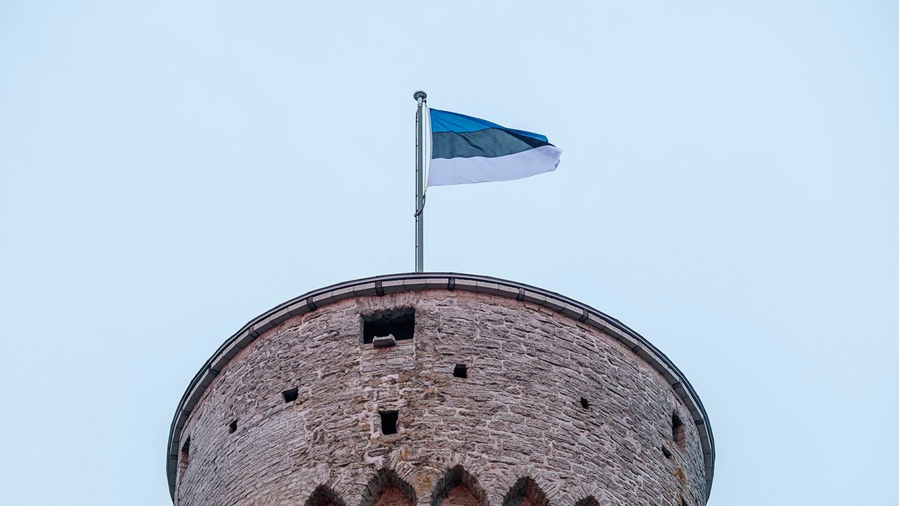 Bloomberg: в Эстонии возник раскол между президентом и премьером из-за РФ