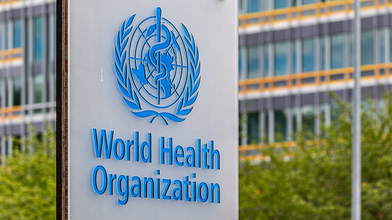 ВОЗ оценила риск распространения вируса Нипах