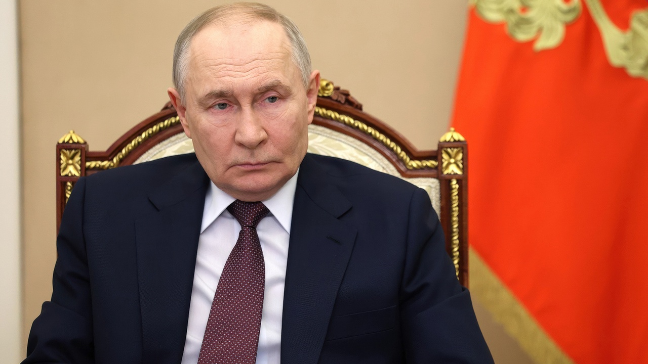 Путин поблагодарил главу ОАЭ за помощь в задержании стрелявшего в Алексеева