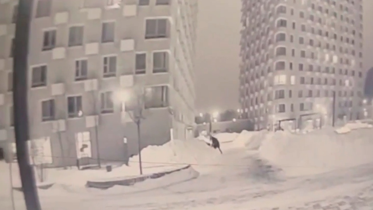 Камеры сняли, как стрелявший в генерала Алексеева бросил оружие в снег