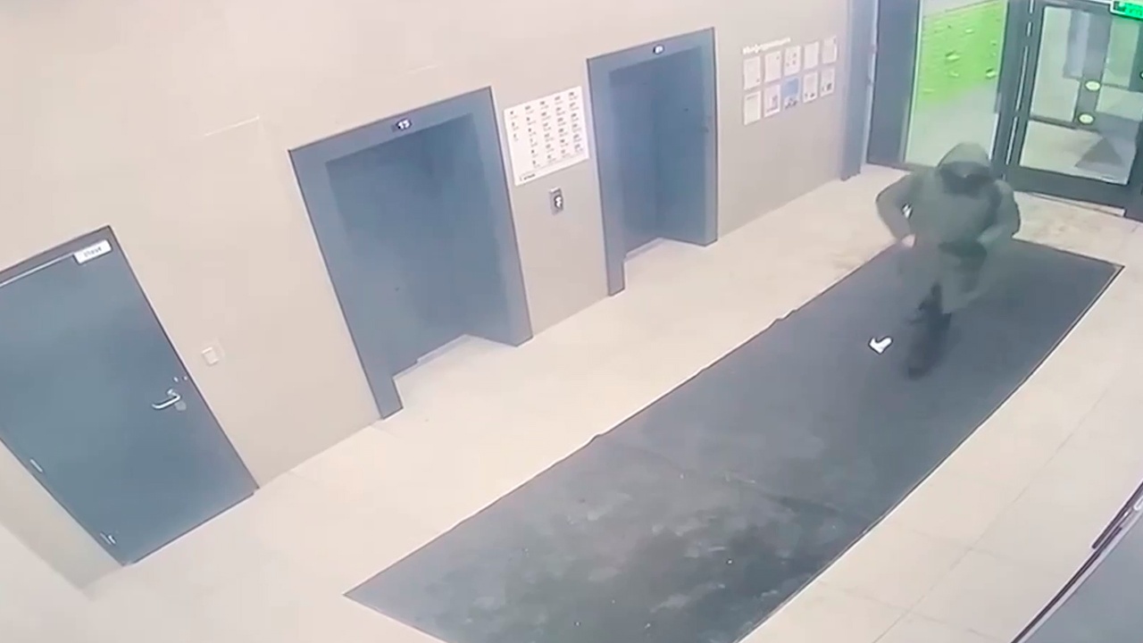 СК: cтрелявший в Алексеева приехал в Москву по заданию спецслужб Украины