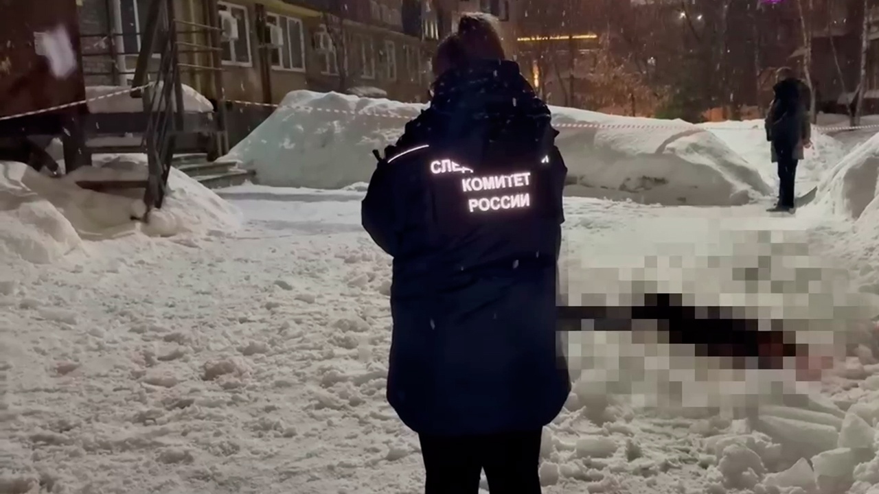 В Нижнем Новгороде 19-летняя девушка погибла из-за упавшей с крыши наледи