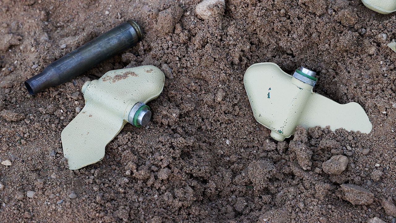 Польша официально вышла из конвенции по запрету противопехотных мин