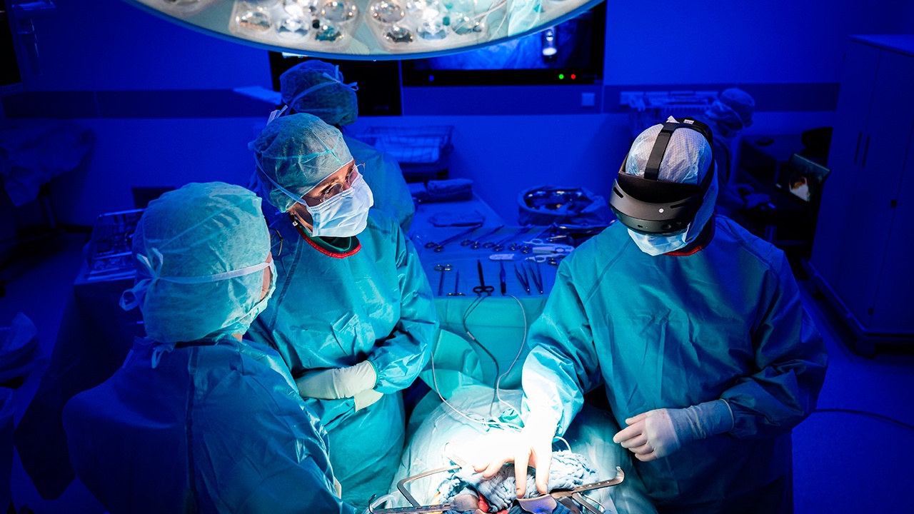 Жительнице Великобритании ампутировали ноги и руки после игры с собакой