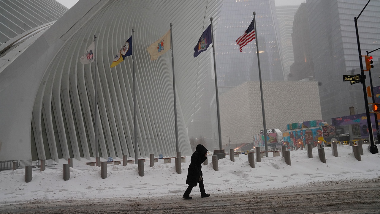 Режим ЧС ввели в Нью-Йорке из-за снежной бури