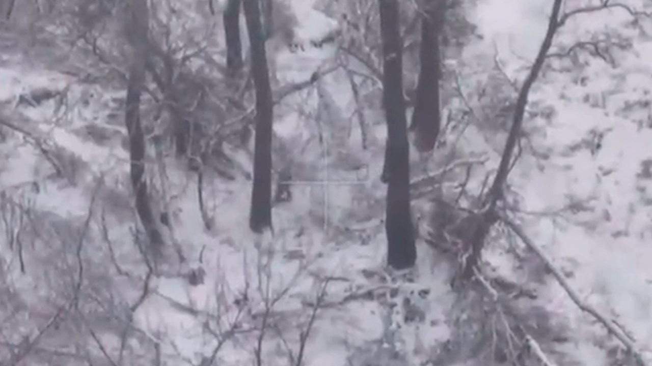 FPV-дроны поразили укрепления ВСУ в Сумской области