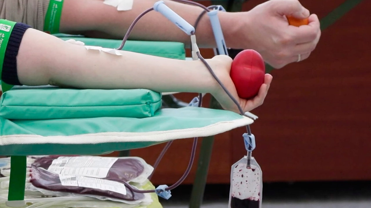 Более 200 сотрудников ЦМТ за день сдали кровь для бойцов СВО