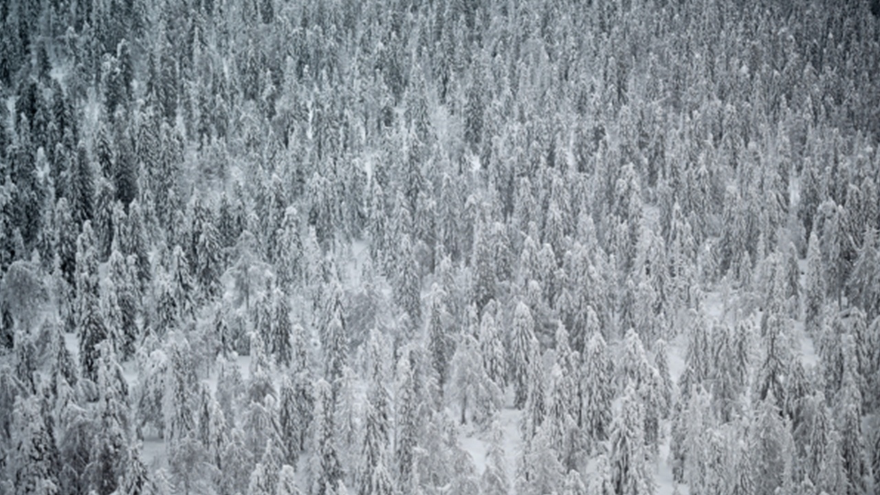 В Пермском крае пропали пятеро туристов на снегоходах