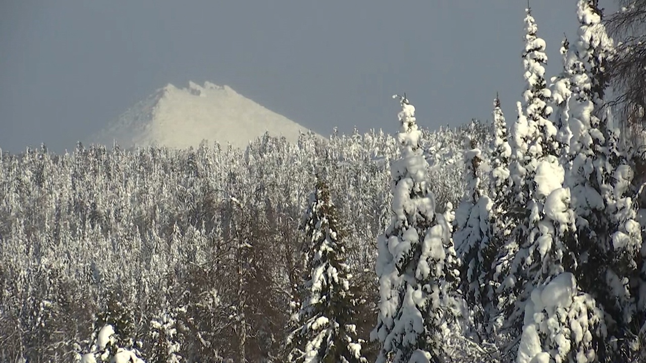 Поисковики рассказали подробности трагедии в горах Прикамья