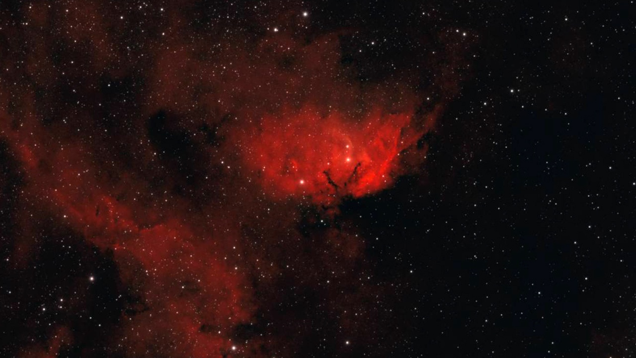 Роскомос показал женщинам космические «цветы» к 8 марта