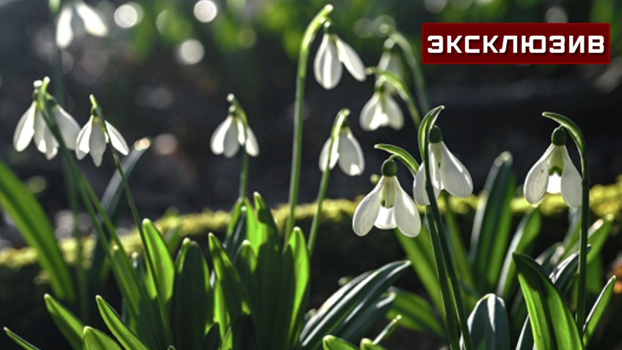 Метеоролог: в Москве в ближайшие дни ожидается новый температурный рекорд